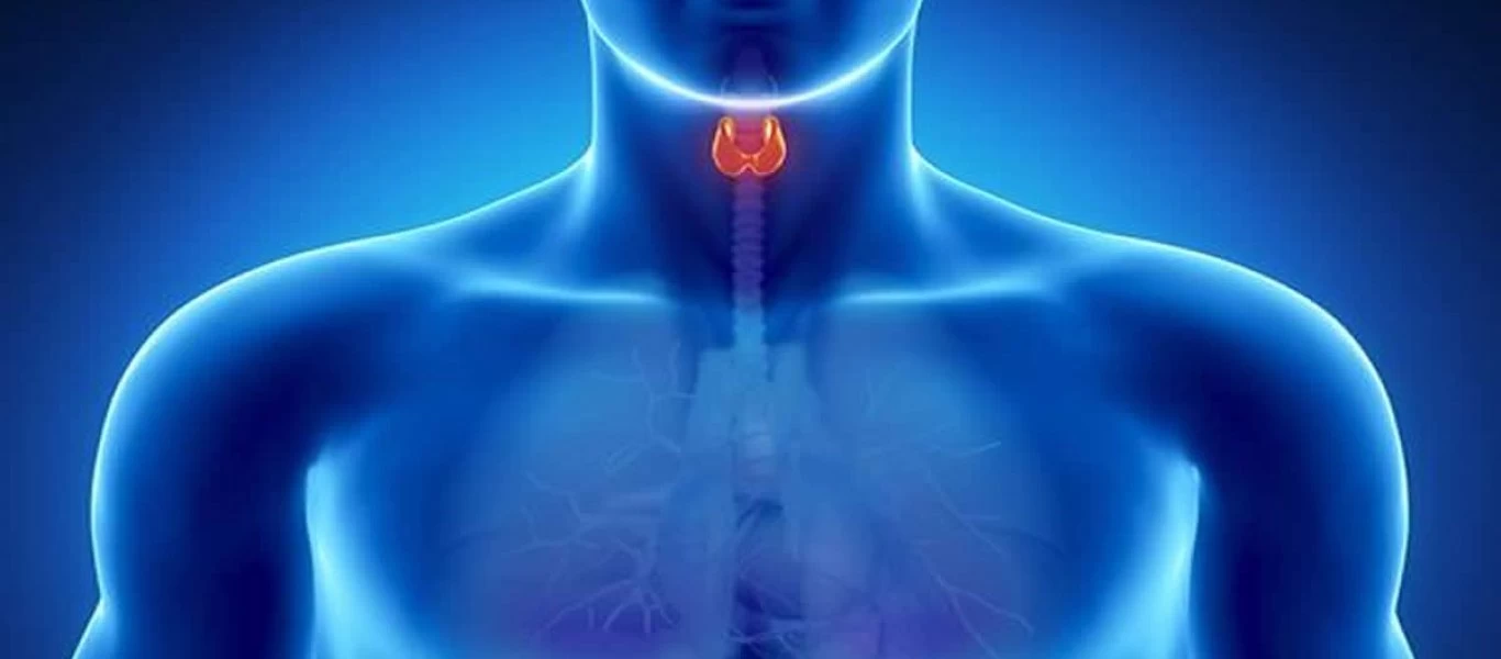 Υποθυρεοειδισμός: Η διατροφή που πρέπει να ακολουθήσεις αν προσέξεις αυτά τα συμπτώματα